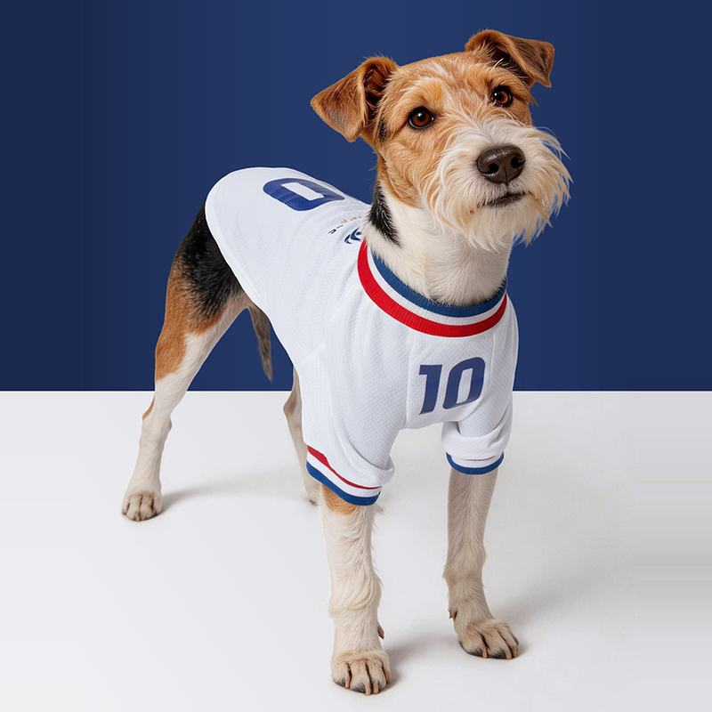France FFF Pet No.10 Away Jersey - White